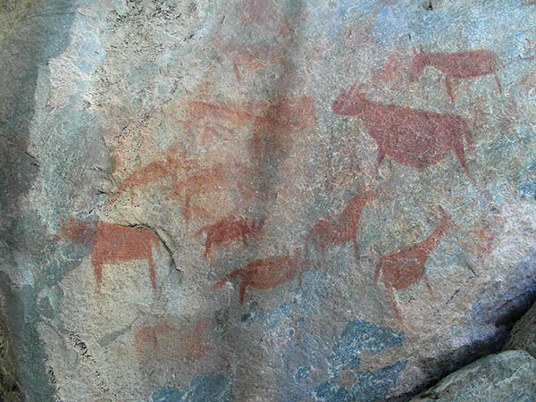 Peintures rupestres des collines de Tsodilo