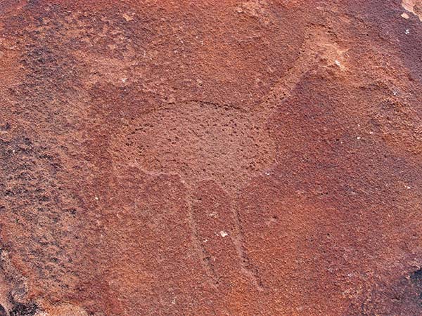 Twyfelfontein rock etchings