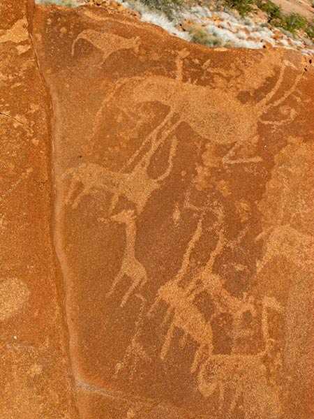 Twyfelfontein rock etchings