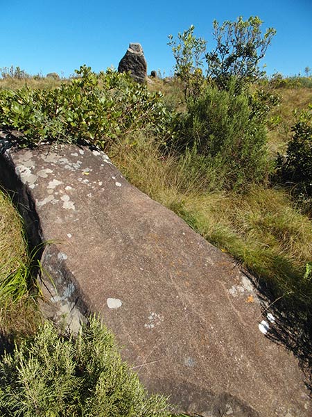 Bague en pierre du calendrier d'Adam, Kaapsehoop