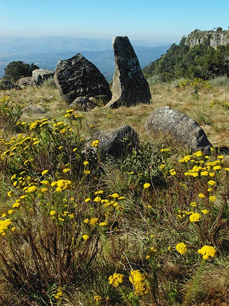 Bague en pierre du calendrier d'Adam, Kaapsehoop