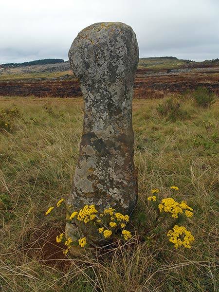 Adams kalender stenring, Kaapsehoop