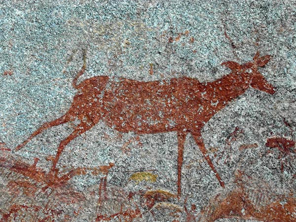 Matopo Hills Nswatugi Cave peintures rupestres