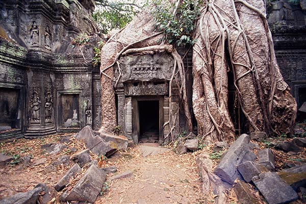 Templo de Ta Prohm, Angkor, Camboya