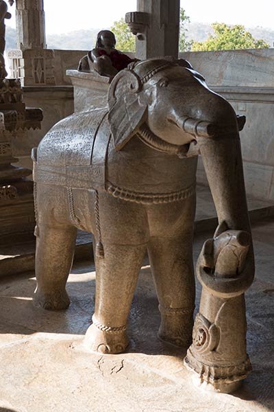 Rajasthan-Elefant