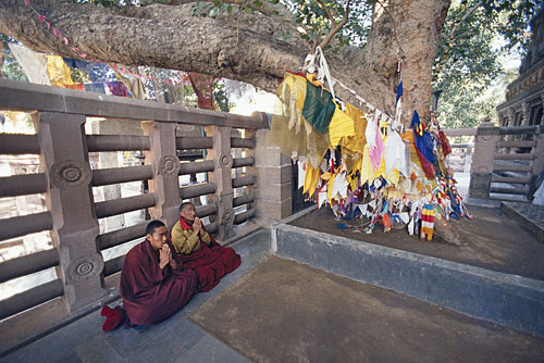 Buddhistische Mönche am Bodhi-Baum, Bodh Gaya