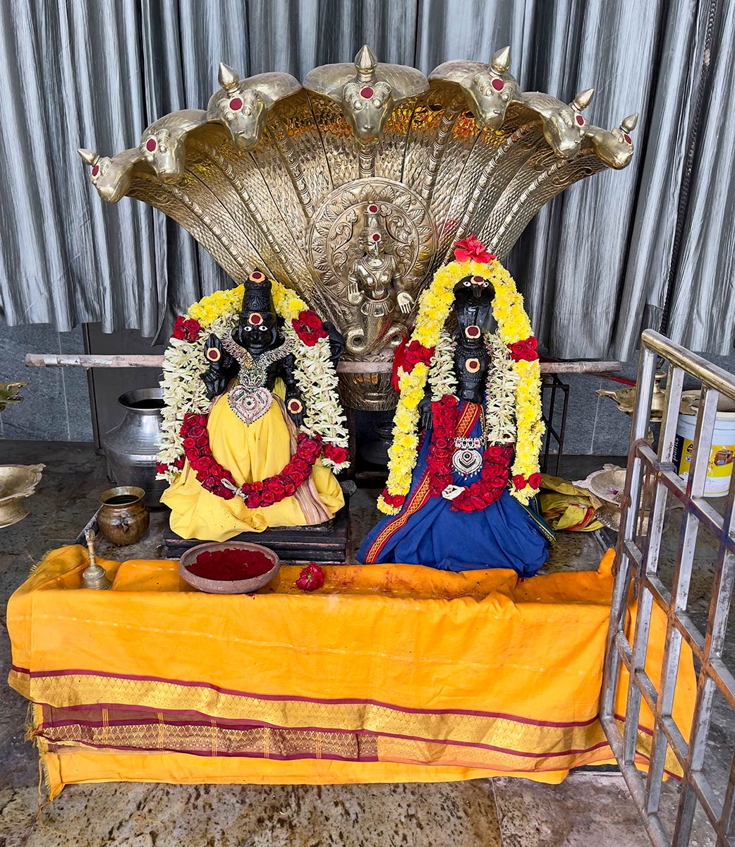 Sri Swayambhu Varasidhi Vinayaka Swamy Devastanam, Kanipakam (escultura dorada de Shiva como cobra y estatuas de deidades utilizadas como altar de puja)