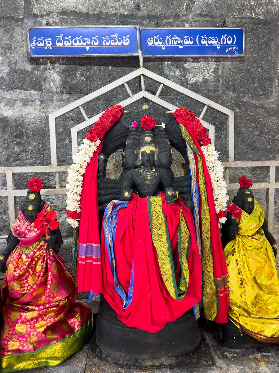 Шри Сваямбху Варасидхи Винаяка Свами Девастанам, Канипакам (статуи божеств, используемые для поклонения пудже)