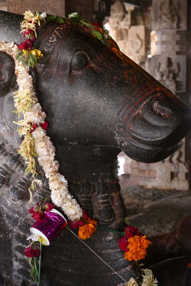 Bhoga Nandeeshwara Shiva Tempel, Steinstatue des Nandi Bull, Nandi