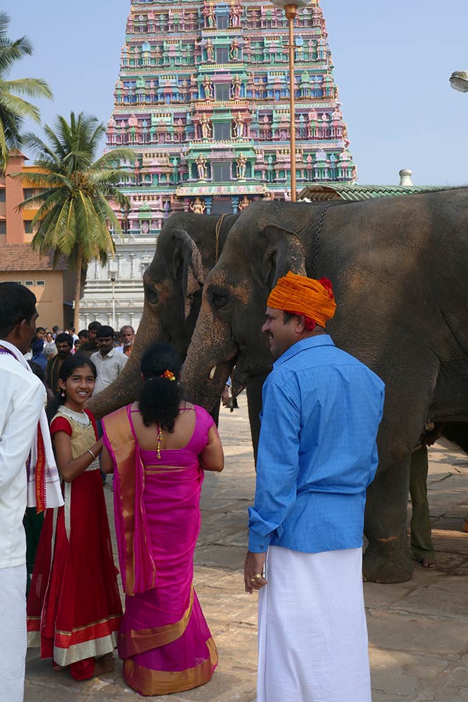Tempelelefanten und Pilger im Sri Vidyashankara Tempel, Sringeri