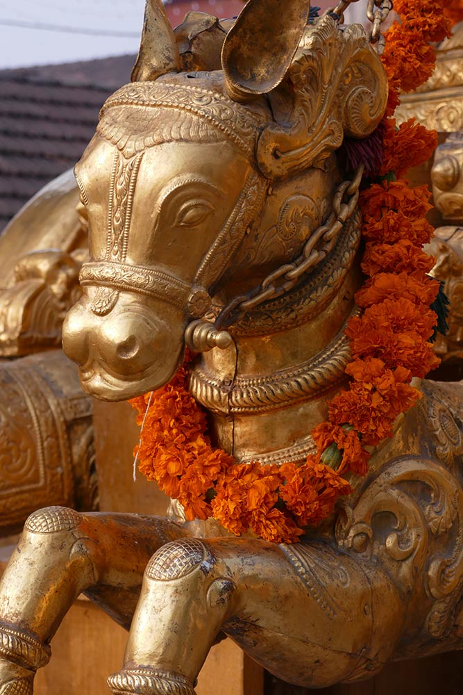 Detail van paardbeeldhouwwerk op Strijdwagen bij de Tempel van Sri Krishna, Udupi