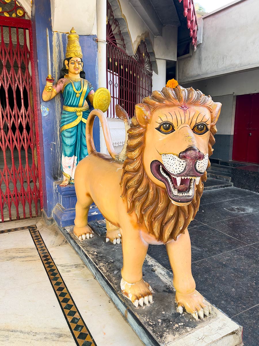 माँ भंडारा घरानी मंदिर, नौरंगपुर। मंदिर के प्रवेश द्वार पर अभिभावक।