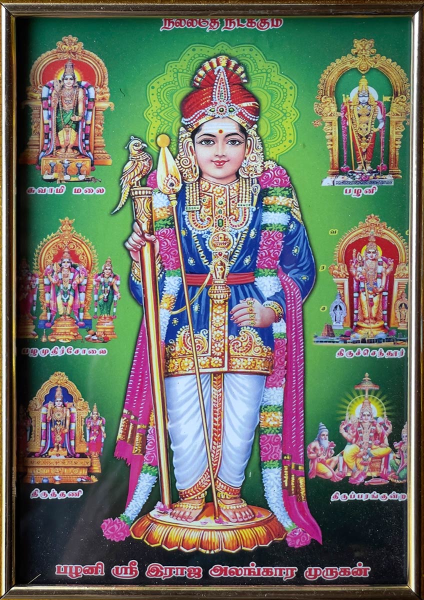 Arulmigu Subramaniyaswami Thirukovil, Coimbatore. Kehystetty Muruga-maalaus ja Murugan patsaat Murugan kuudessa päätemppelissä.