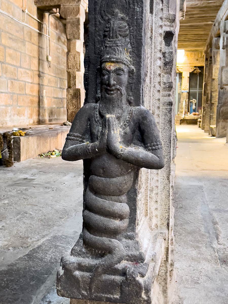 Temple Athmanathaswamy Shiva, Avudayarkovil. Pilier en pierre avec sculpture de sauge avec corps de serpent.