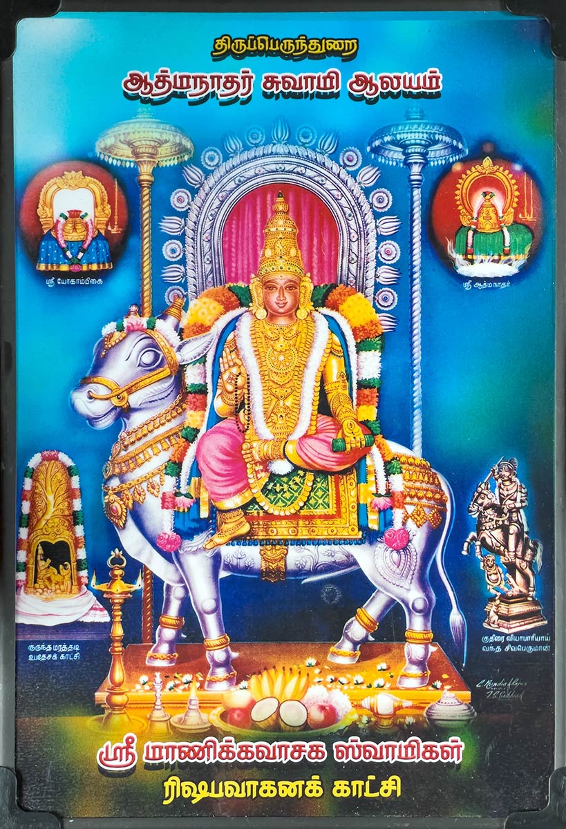 Athmanathaswamy Shiva-tempel, Avudayarkovil. Ingelijst schilderij van Shiva te koop bij tempel.