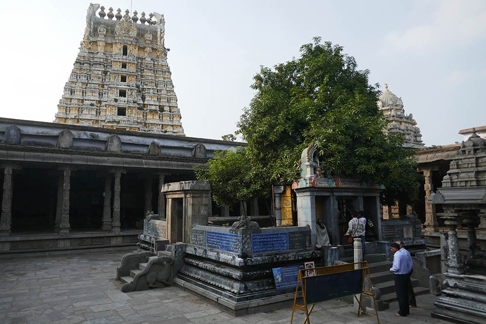 Ekambaranathar tenplua, Kanchipuram