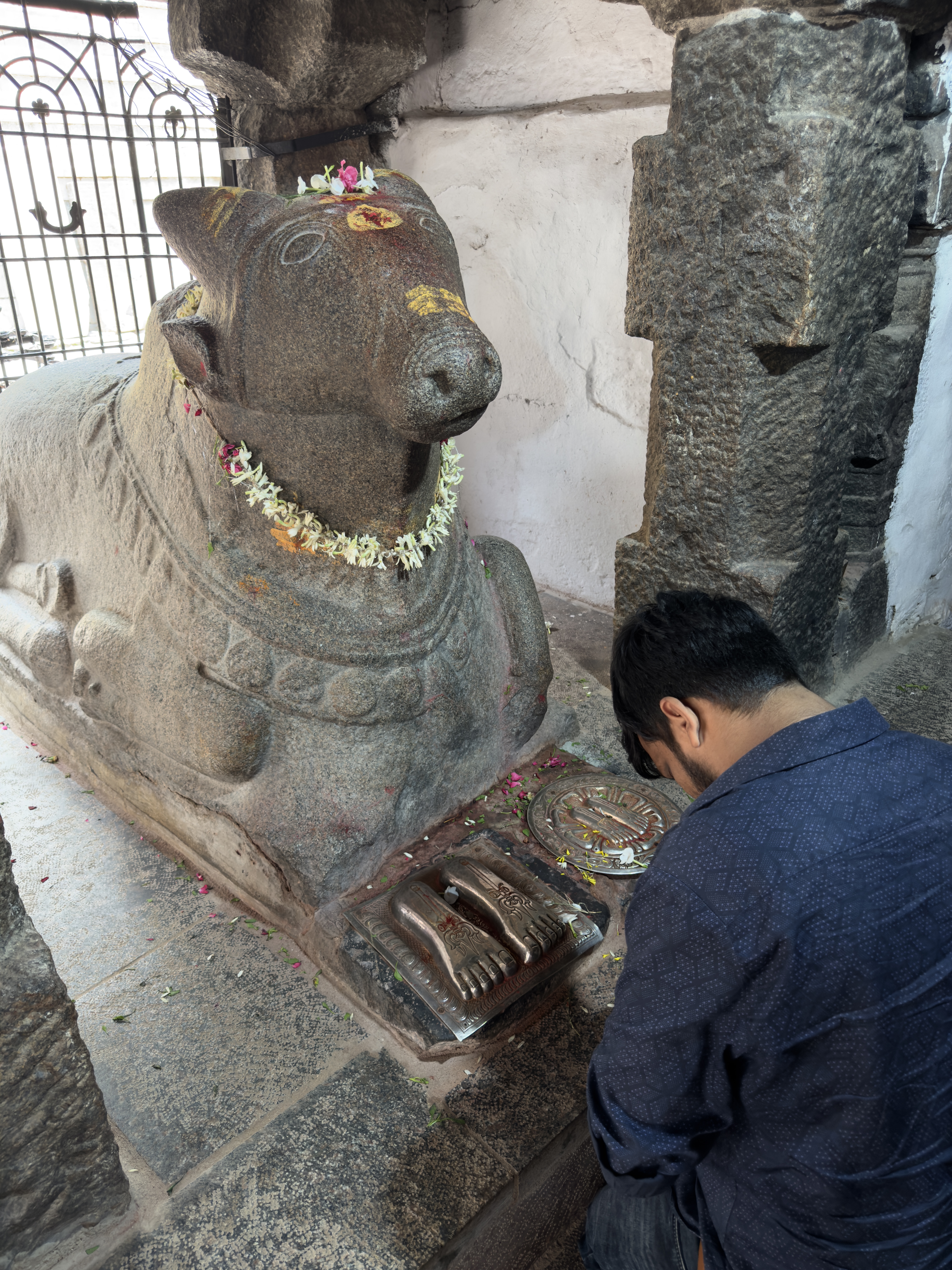 Pilgrim praying at Nandi bull statue, Jogulamba Ammavari Shakti Pitha Temple, Alampuram