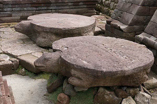 Large stone turtles at base of pyramid, Candi Sukuh, Java