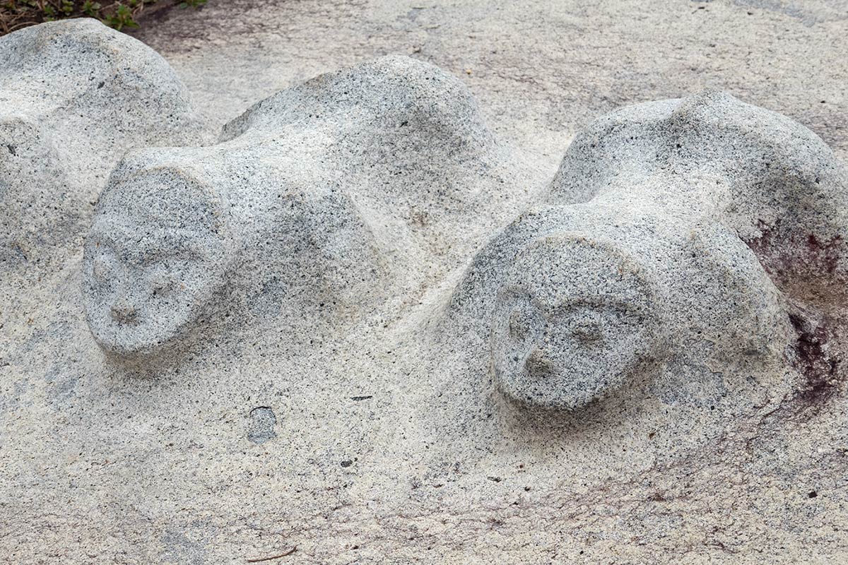 صورة مقرّبة لغطاء محفور من كالامبا ، بالقرب من قرية هانجيرا ، وادي بيسوا