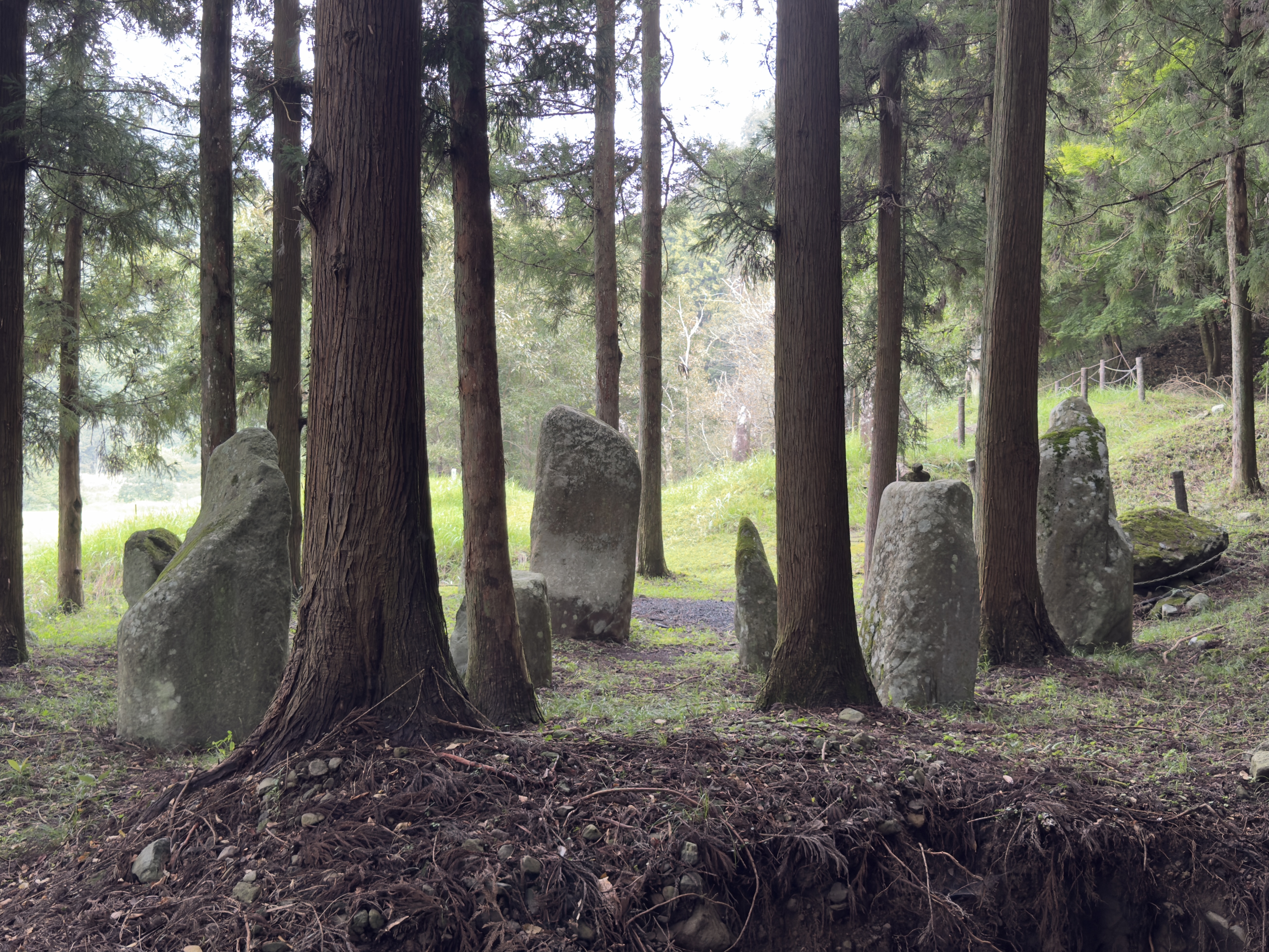 Sada stone ring, Kyushu