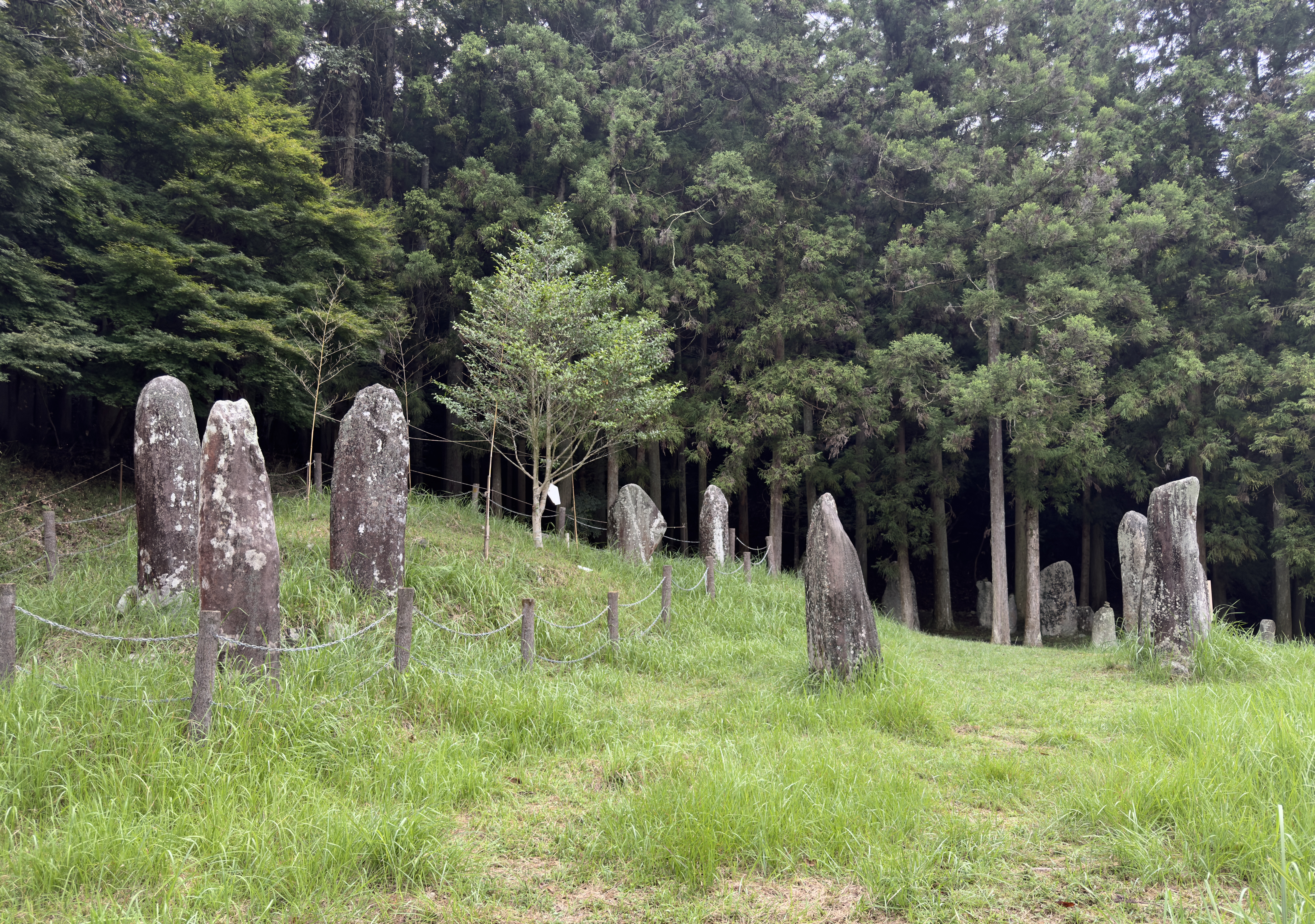 Sada stone ring, Kyushu