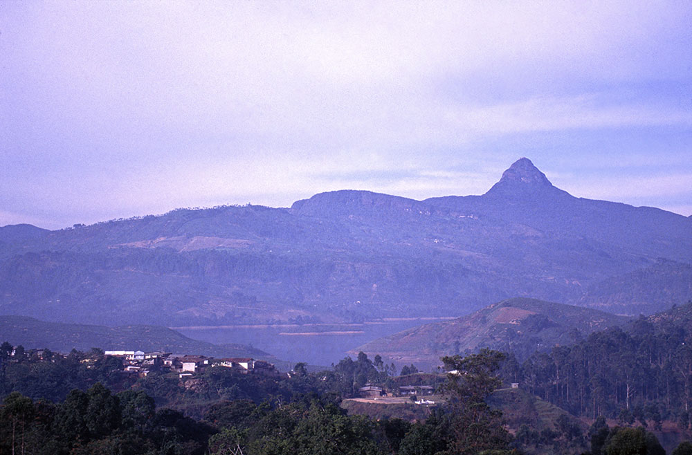 Pico de Adão