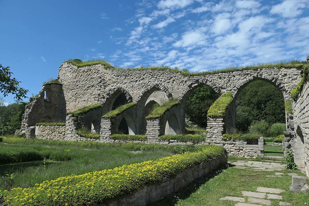 Alvastra Abbey ruiner
