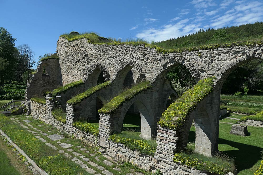 Alvastra Abbey ruïnes