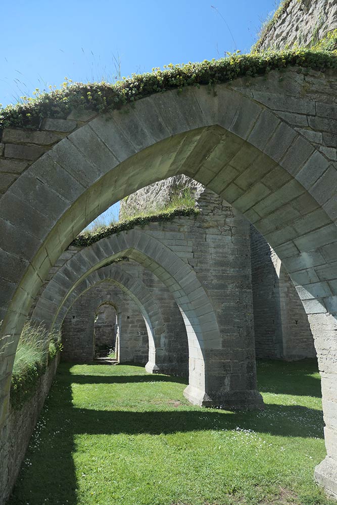 Ruinas de la abadía de Alvastra