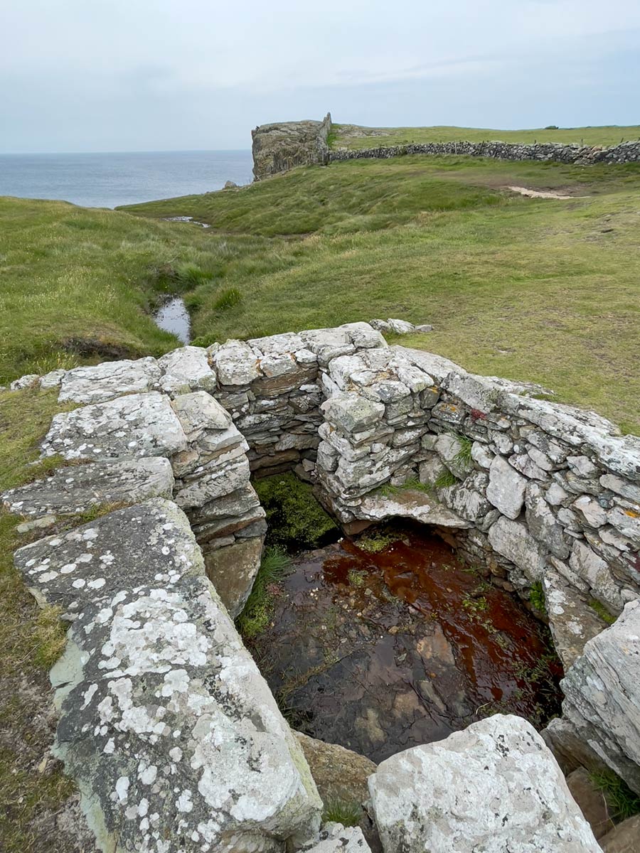Poço de St Gwenfaen (Ffynnon Santes Gwenfaen), Ilha Sagrada